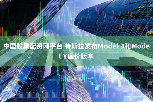 中国股票配资网平台 特斯拉发布Model 3和Model Y廉价版本