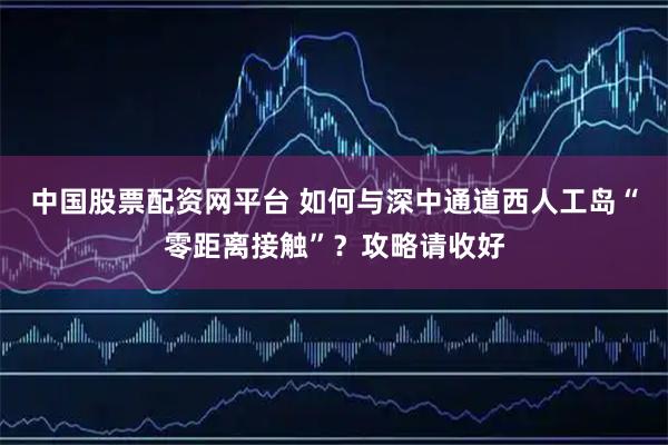 中国股票配资网平台 如何与深中通道西人工岛“零距离接触”？攻略请收好