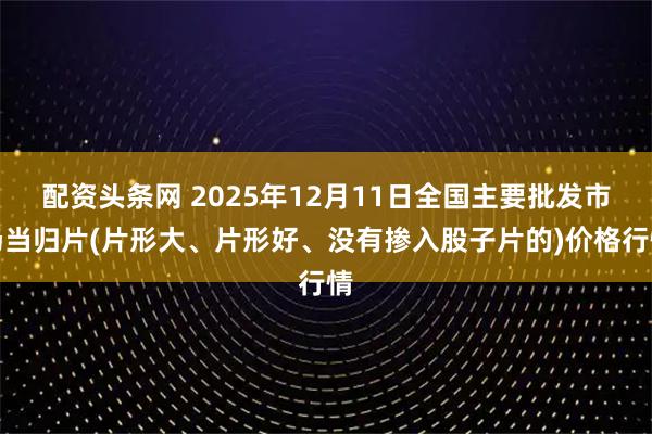 配资头条网 2025年12月11日全国主要批发市场当归片(片形大、片形好、没有掺入股子片的)价格行情