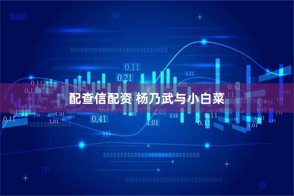 配查信配资 杨乃武与小白菜